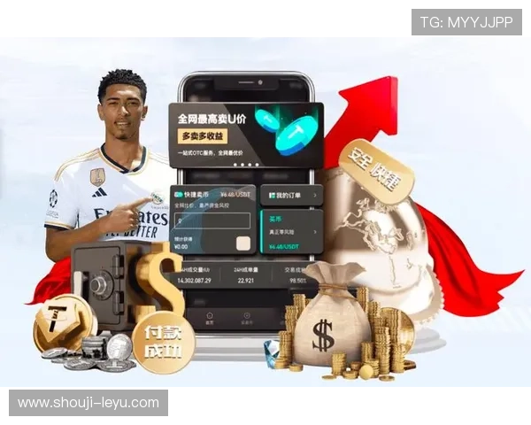 乐鱼官方信誉好，平台安全保障措施与用户资金安全的详细介绍